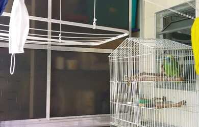 Imagem 4: Apartamento - Cohab II. 50m² de Área, 1 Vaga na garageme2 Dormitórios