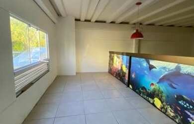 Imagem 10: Loja Térrea Nossa Senhora de Lourdes Caxias do Sul