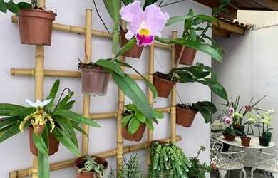 Imagem 16: CASA RESIDENCIAL em SÃO PAULO - SP, JARDIM NOVO MUNDO