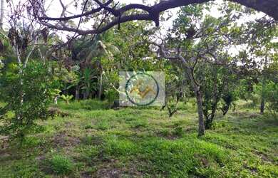 Imagem 9: Chácara à venda com 09 tarefas - Itaporanga D x27 Ajuda/SE