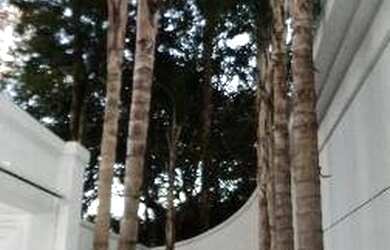 Imagem: A casa em condomínio possui 4 Dormitórios, 5 Banheiros, 5