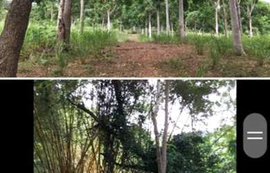 Imagem 16: Fazenda Riacho das Pedras 274 hectares 2 milhões e duzentos mil reais