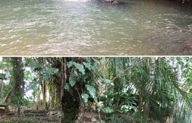 Imagem 4: Fazenda Riacho das Pedras 274 hectares 2 milhões e duzentos mil reais