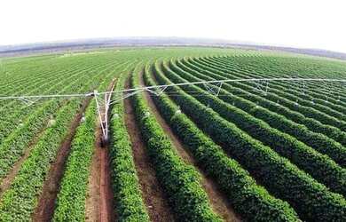 Imagem: A fazenda está localizado em Buritizeiro, MG à venda por
