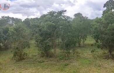 Imagem 4: Fazenda para Venda em Centro Chapada Gaúcha-MG