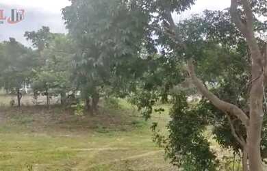 Imagem: A fazenda possui 30250000m² de Área e está localizado em