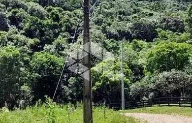 Imagem 5: Sitio de 22 hectares a poucos quilometros de Canela