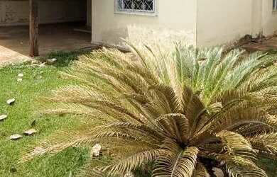 Imagem: A casa possui 2 Dormitórios, 1 Banheiro, 2 Vagas na garagem