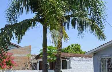 Imagem 8: Casa no Bairro Salgado Filho