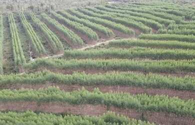 Imagem 10: Fazenda 404 hectares Próximo a Salinas/MG