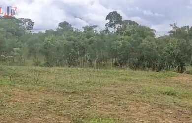 Imagem 7: Fazenda para Venda em Centro Chapada Gaúcha-MG