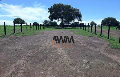 Imagem 11: Fazenda à venda, 501 alqueires por R$ 90.180.000 - Centro - Porangatu/GO