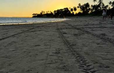 Imagem: A casa possui 4 Dormitórios, 4 Banheiros, 4 Vagas na garagem
