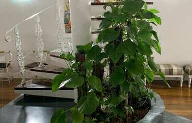 Imagem 6: CASA RESIDENCIAL em SÃO PAULO - SP, JARDIM NOVO MUNDO