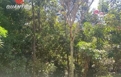 Imagem 8: CASA RESIDENCIAL em GOIÂNIA - GO, JARDINS ATENAS