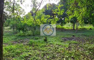 Imagem 10: Chácara à venda com 09 tarefas - Itaporanga D x27 Ajuda/SE