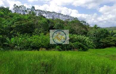 Imagem 12: Chácara à venda COM 8,5 tarefas no Sapé - Itaporanga D x27 Ajuda/SE