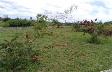 Imagem 13: Loteamento Sapeaçu Ville, vista panorâmica, frente Rodoviária, escriturado