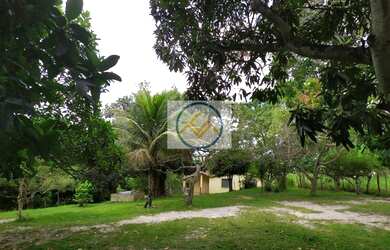 Imagem 1: Chácara à venda COM 8,5 tarefas no Sapé - Itaporanga D x27 Ajuda/SE