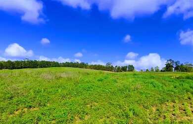 Imagem: O terreno possui 500m² de Área e está localizado em Vila