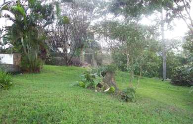 Imagem 16: casa colonial 2.400 metros quadrados quintal