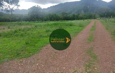 Imagem 10: Fazenda à venda, 522 hectares por R$ 10.800.000 - Zona Rural - Niquelândia/GO