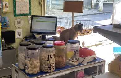 Imagem 4: Passo Ponto Pet Shop. 62m² de Áreae1 Vaga na garagem