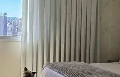 Imagem 16: Apartamento Amplo Totalmente Mobiliado 150m² Privativos