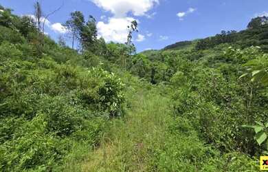 Imagem 7: Sítio / Chácara para Venda em Nova Petrópolis, Stille Eck