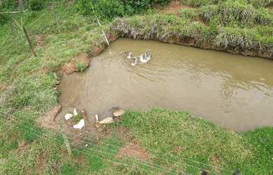 Imagem 2: Chácara 5 alqueires. 