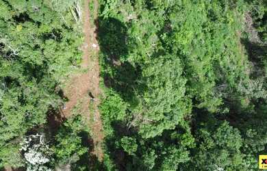 Imagem 2: Sítio / Chácara para Venda em Nova Petrópolis, Stille Eck