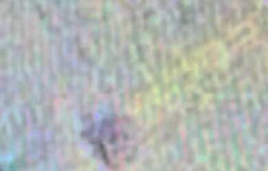 Imagem: A casa possui 2 Dormitórios, 1 Banheiro, 100m² de Área e