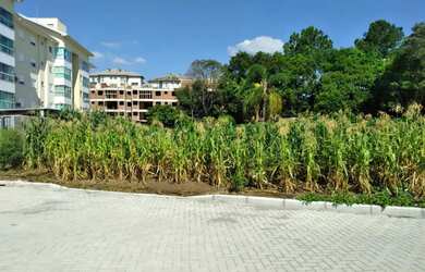Imagem 6: Terreno para Venda em Nova Petrópolis, Pousada da Neve