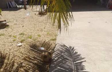 Imagem: A casa possui 2 Dormitórios, 2 Banheiros, 2 Vagas na garagem