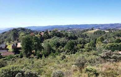 Imagem 4: Terreno à venda, 8940 m² por R$ 4.099.000,00 - Condomínio Morro Pedra...