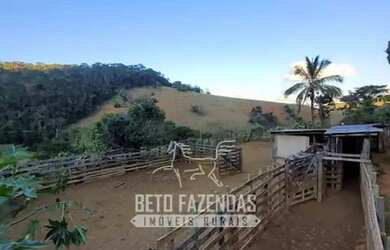 Imagem 15: Imóvel para venda tem 6195200 metros quadrados em Area Rural de Laje...