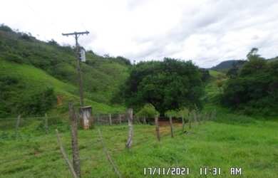 Imagem 2: 2166/Ótima fazenda de 260 ha em Além Paraíba MG