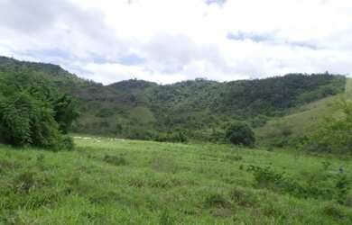 Imagem 16: 2166/Ótima fazenda de 260 ha em Além Paraíba MG