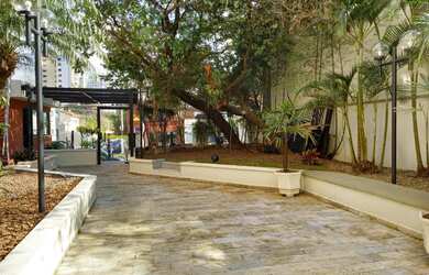 Imagem 12: terraço, linda vista, repleto de.armários, depósito na garagem, lazer