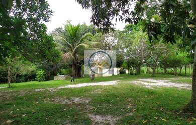 Imagem 6: Chácara à venda COM 8,5 tarefas no Sapé - Itaporanga D x27 Ajuda/SE