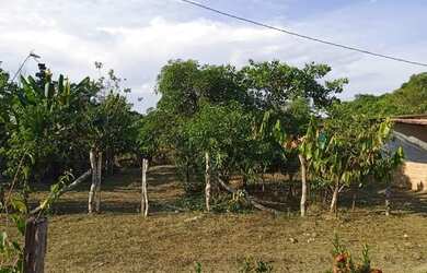 Imagem 1: Vendo terreno 15 50 ou troco por casa no Iranduba 50mil