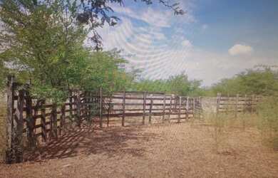 Imagem 6: Fazenda 687ha Santa Marcia