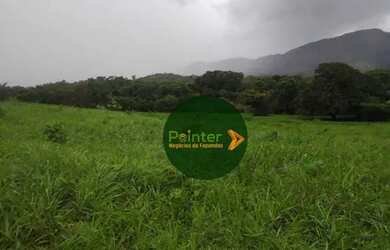 Imagem 7: Fazenda à venda, 522 hectares por R$ 10.800.000 - Zona Rural - Niquelândia/GO