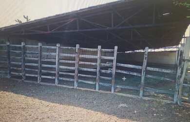 Imagem 2: Fazenda 687ha Santa Marcia