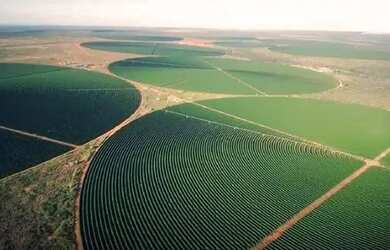 Imagem 2: Buritizeiro/MG- Fazenda de Café de 2.050,00 ha - R$350.000.000,00