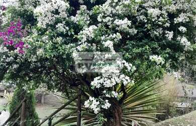 Imagem: A casa em condomínio possui 5 Dormitórios, 4 Banheiros, 2