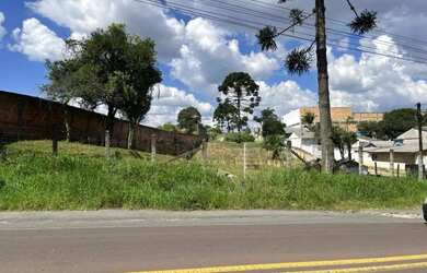 Imagem 5: ÁREA CAMPO LARGO DA ROSEIRA