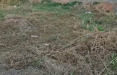 Imagem: O terreno possui 360m² de Área e está localizado em São