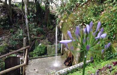 Imagem 10: Apartamento a venda em Conceição de jacarei- Mangaratiba