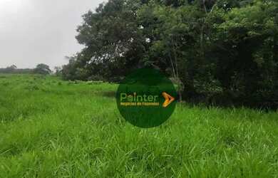 Imagem 14: Fazenda à venda, 522 hectares por R$ 10.800.000 - Zona Rural - Niquelândia/GO